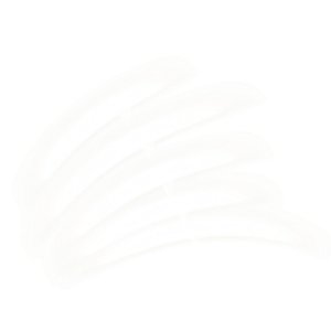 Diagram showing the five integrated technologies inside the OMNI device